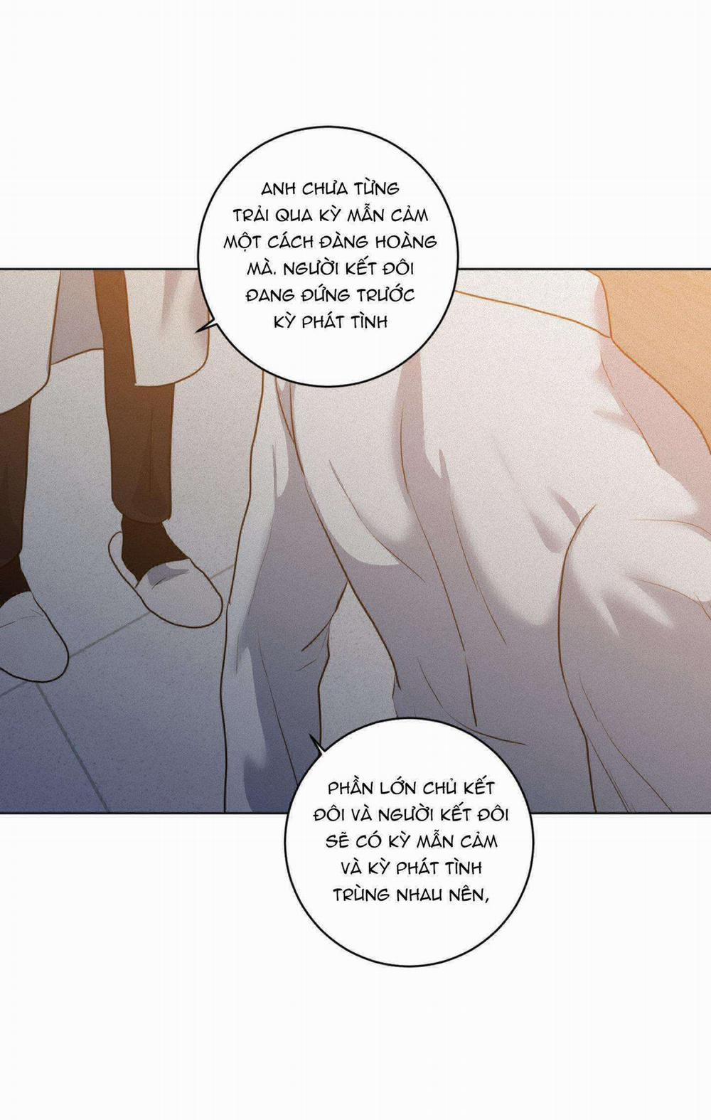 (Abo) Lời Cầu Nguyện 37 trang 6