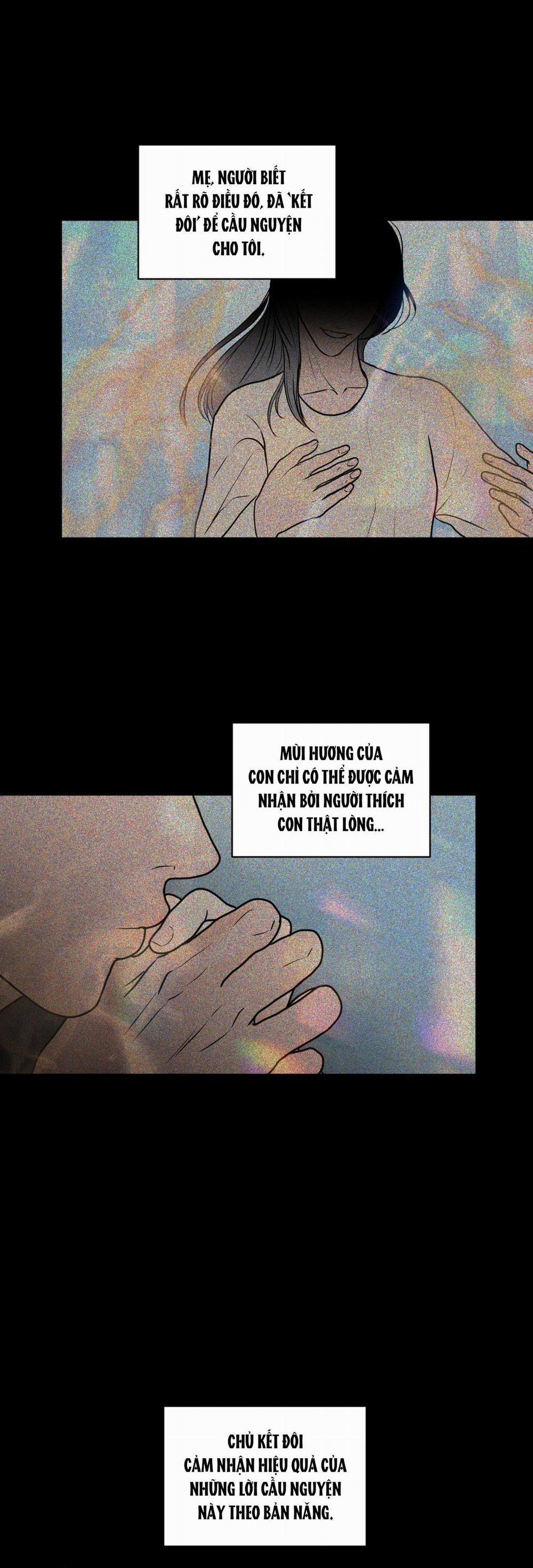 (Abo) Lời Cầu Nguyện 43 trang 24