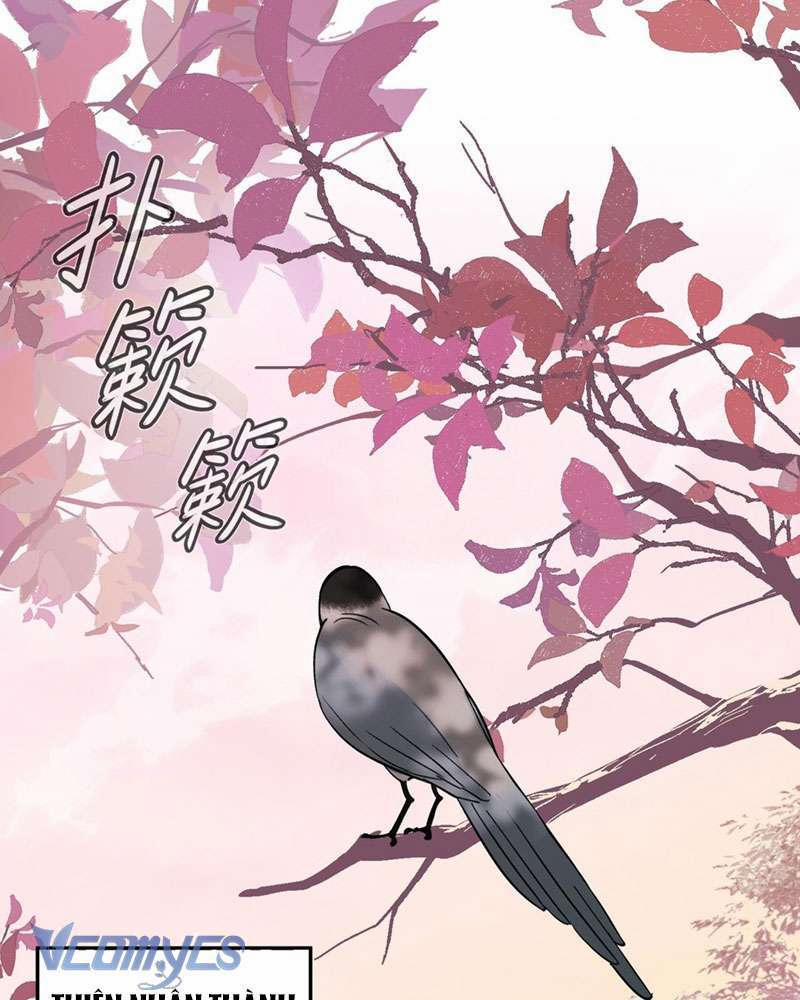 Ác Chi Hoàn 9 trang 31