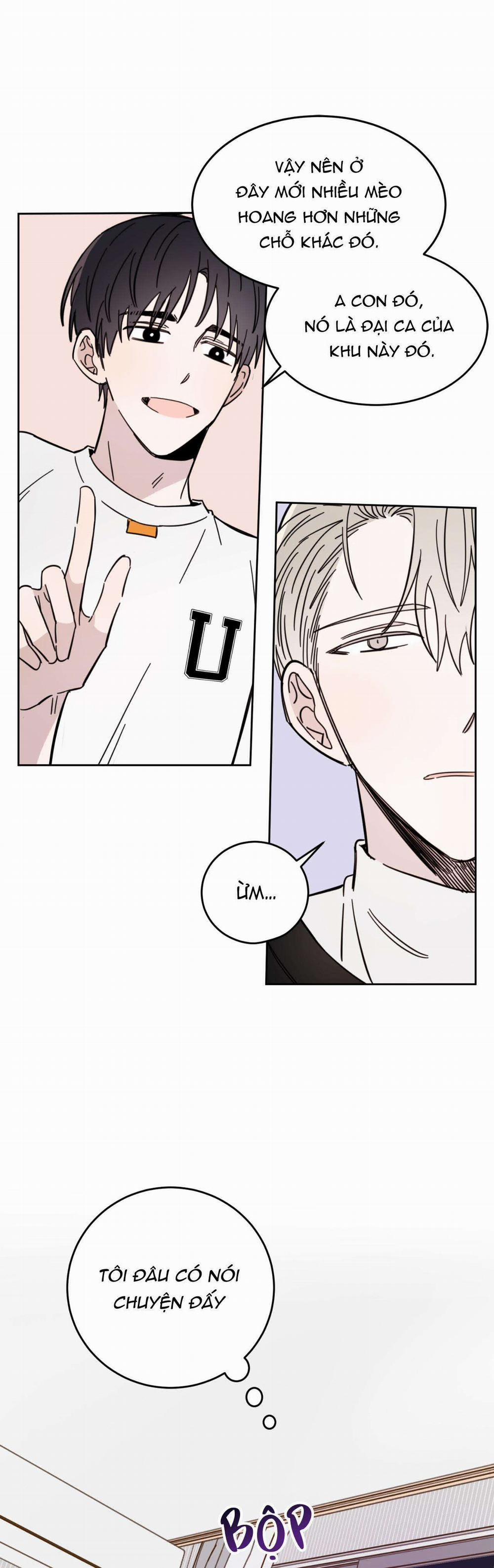 Ác Ma Giữa Ngã Tư Đường 10 trang 12