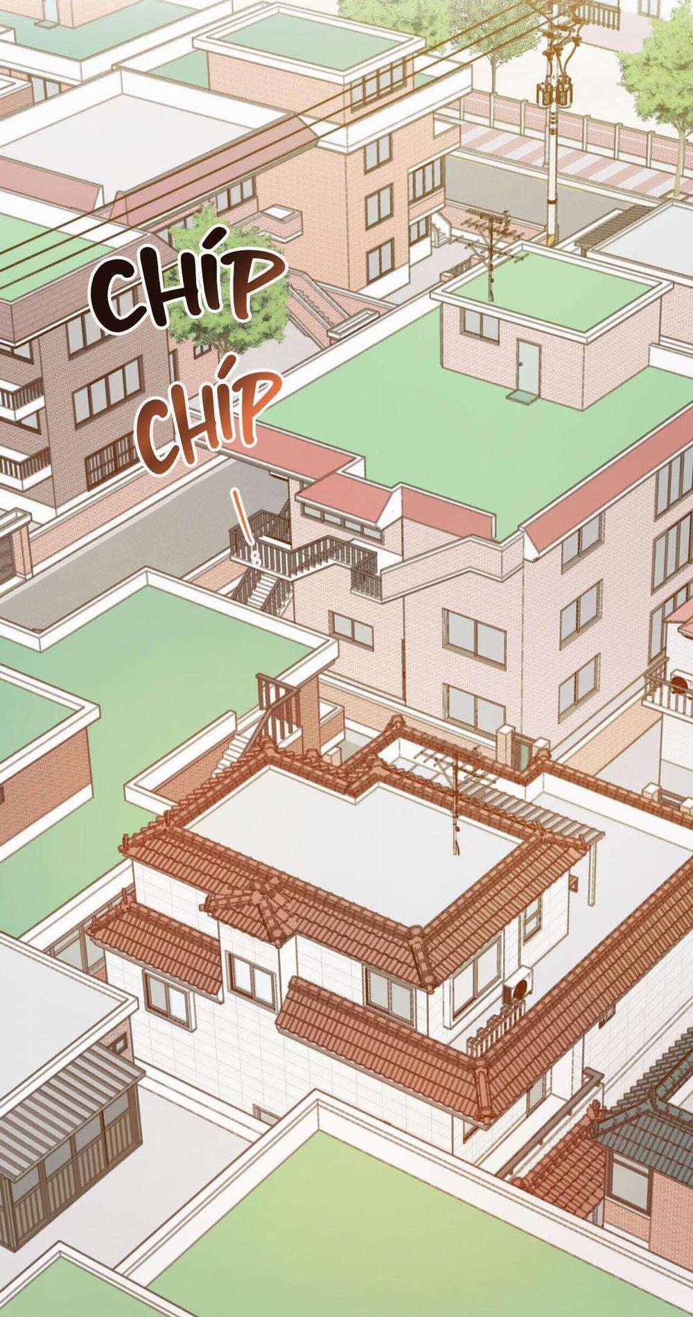 Ác Ma Giữa Ngã Tư Đường 11 trang 11