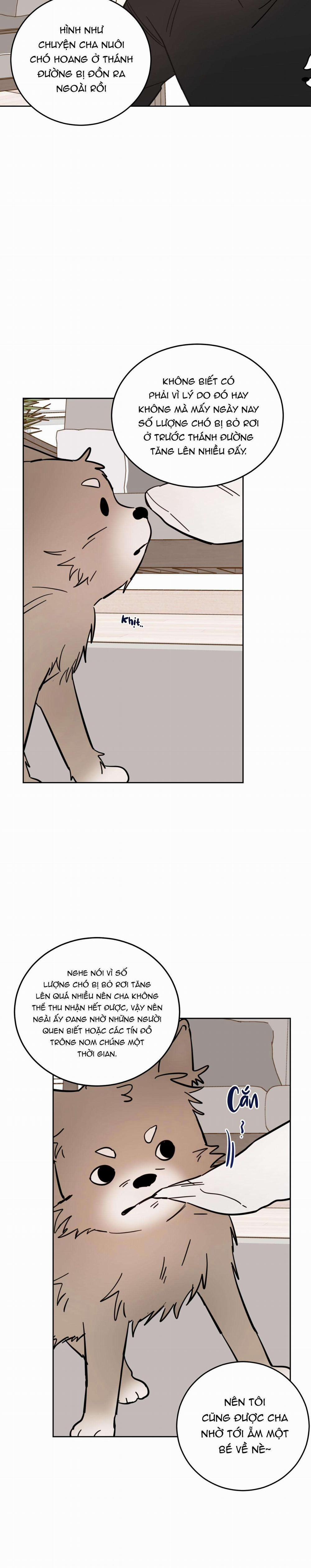 Ác Ma Giữa Ngã Tư Đường 11 trang 21