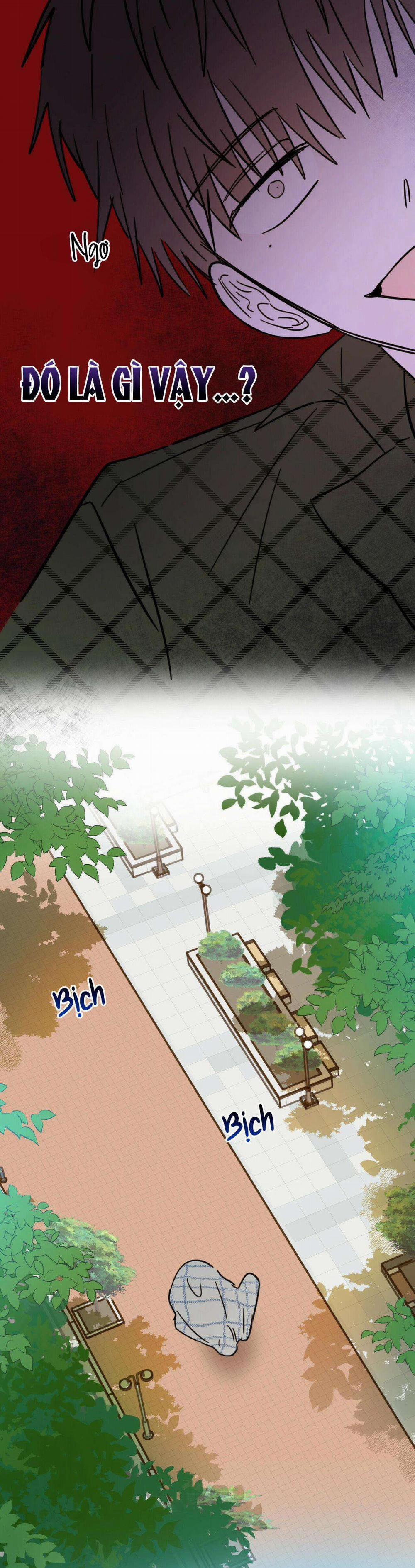 Ác Ma Giữa Ngã Tư Đường 5 trang 11