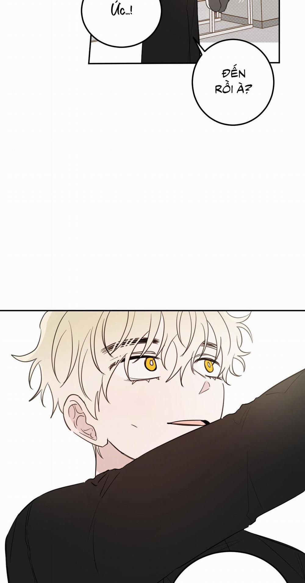 Ác Ma Giữa Ngã Tư Đường 60 trang 29