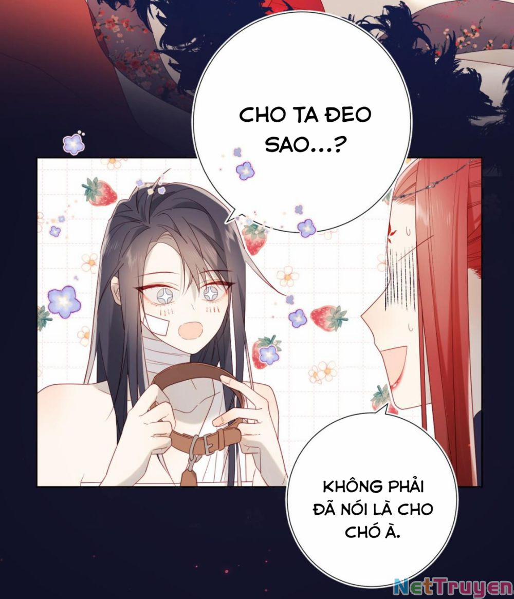 Ác Nữ Cự Tuyệt Cua Nam Chính 53.5 trang 25