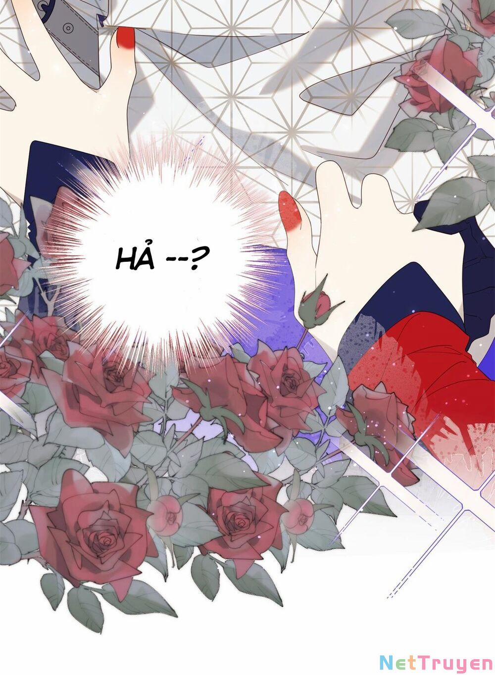 Ác Nữ Cự Tuyệt Cua Nam Chính 63 trang 3