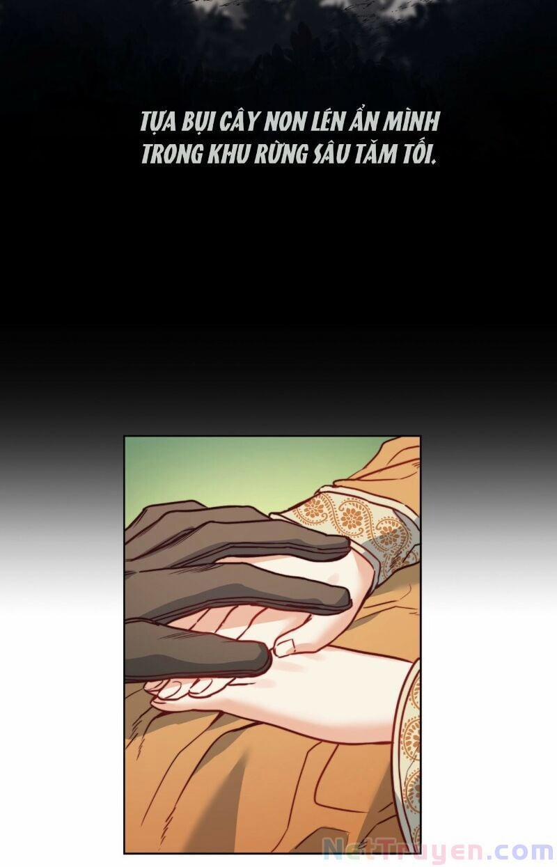 Ác Quỷ 24 trang 20