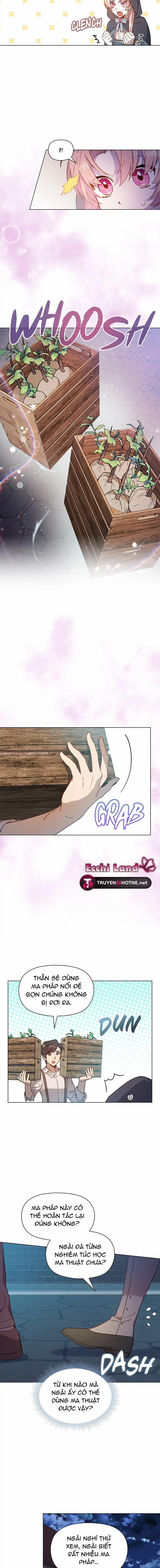 Adelia: Đóa Hoa Xiềng Xích 8.1 trang 6