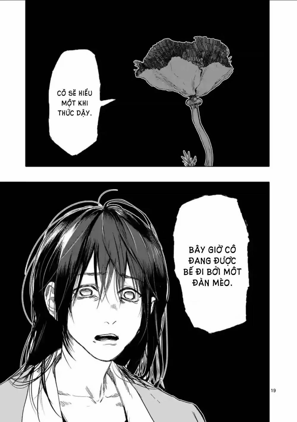 After God 15 trang 19