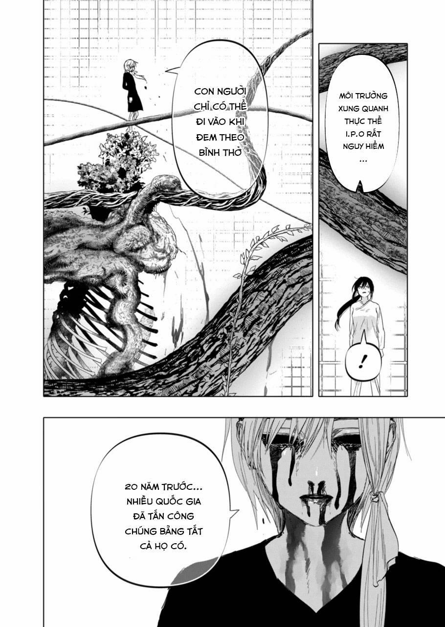 After God 5 trang 11