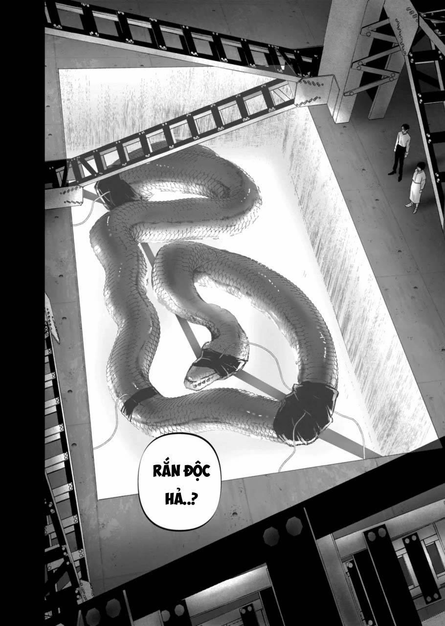 After God 5 trang 19