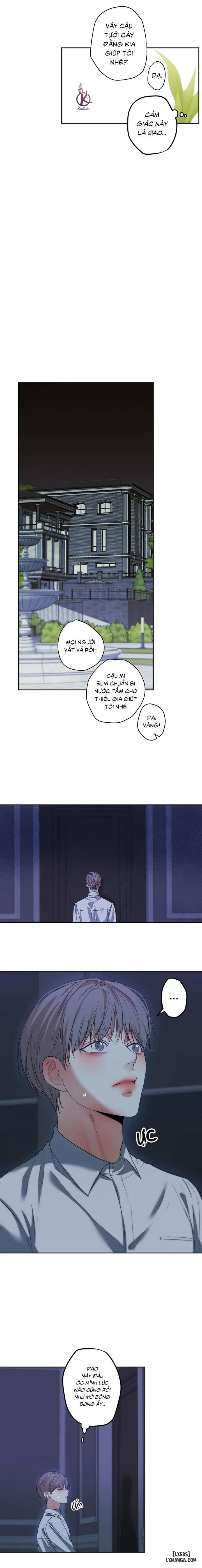 Ái Dục 17 trang 5