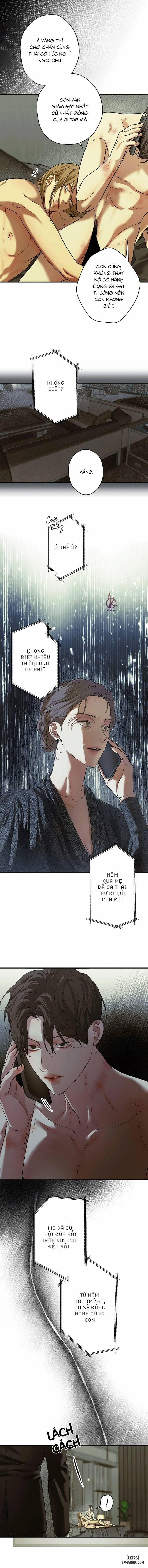 Ái Dục 19 trang 1