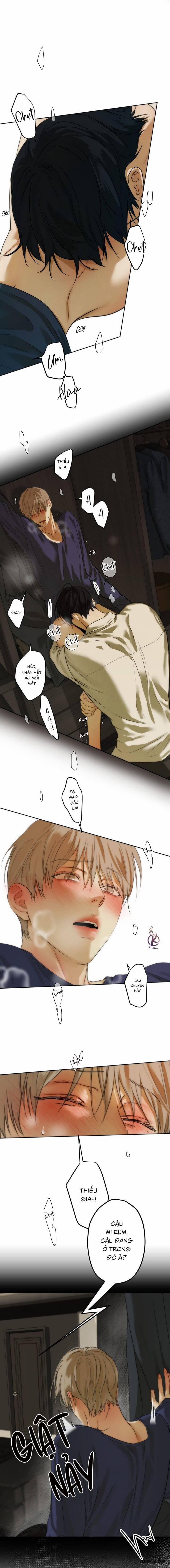 Ái Dục 19 trang 13