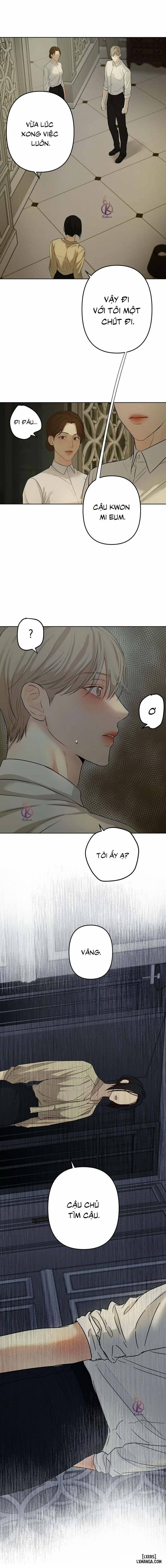 Ái Dục 8 trang 11