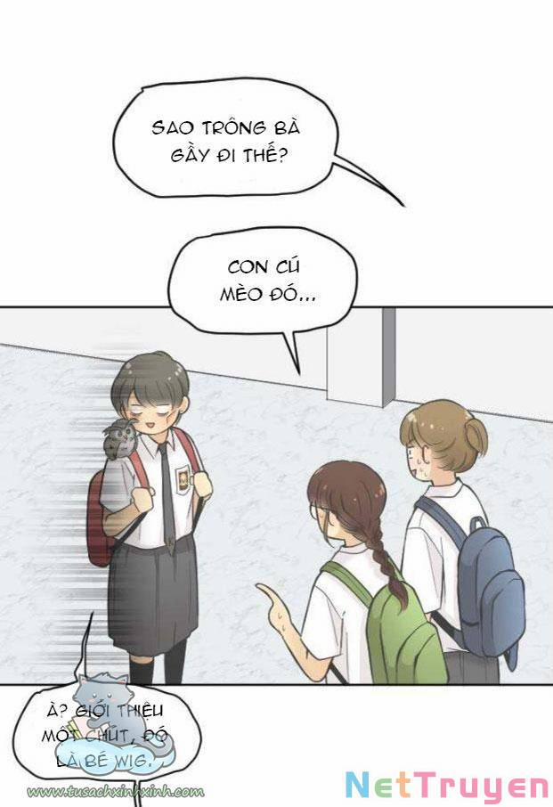 Ai Là Ngài Hiệu Trưởng 5 trang 43