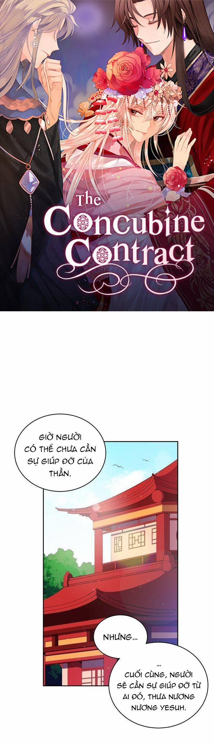 Ái Phi, Dao Của Nàng Rơi Rồi 37 trang 1