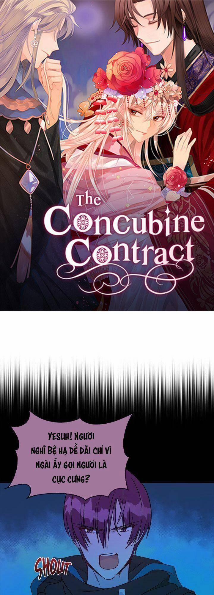 Ái Phi, Dao Của Nàng Rơi Rồi 45 trang 1