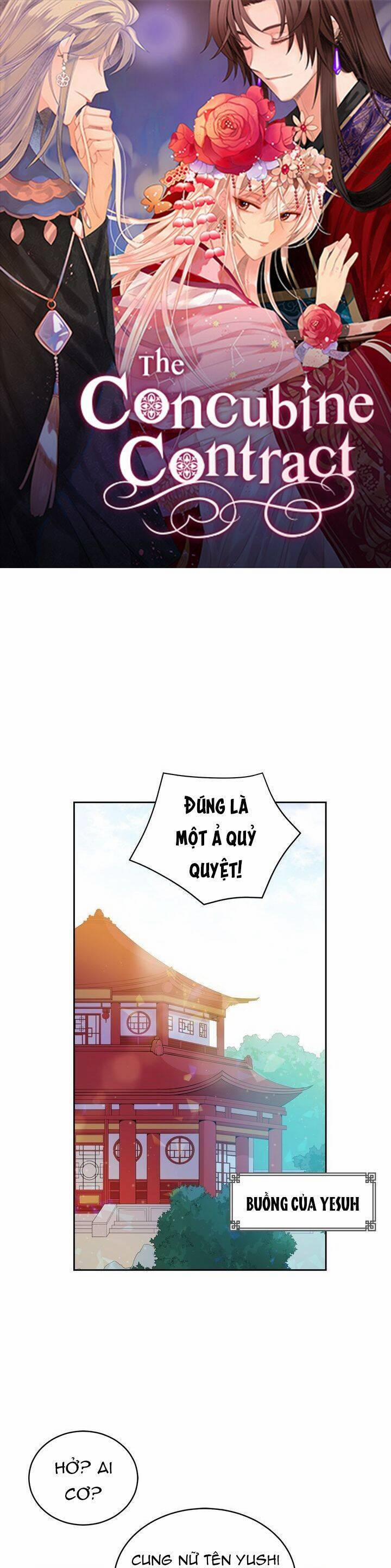 Ái Phi, Dao Của Nàng Rơi Rồi 51 trang 1