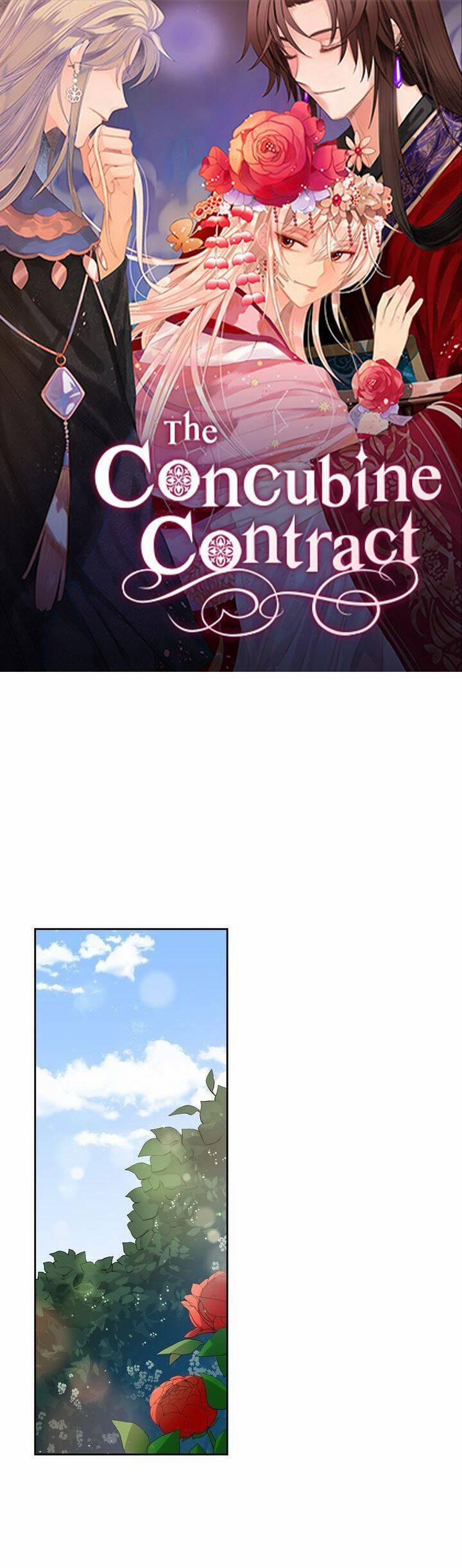 Ái Phi, Dao Của Nàng Rơi Rồi 65 trang 1