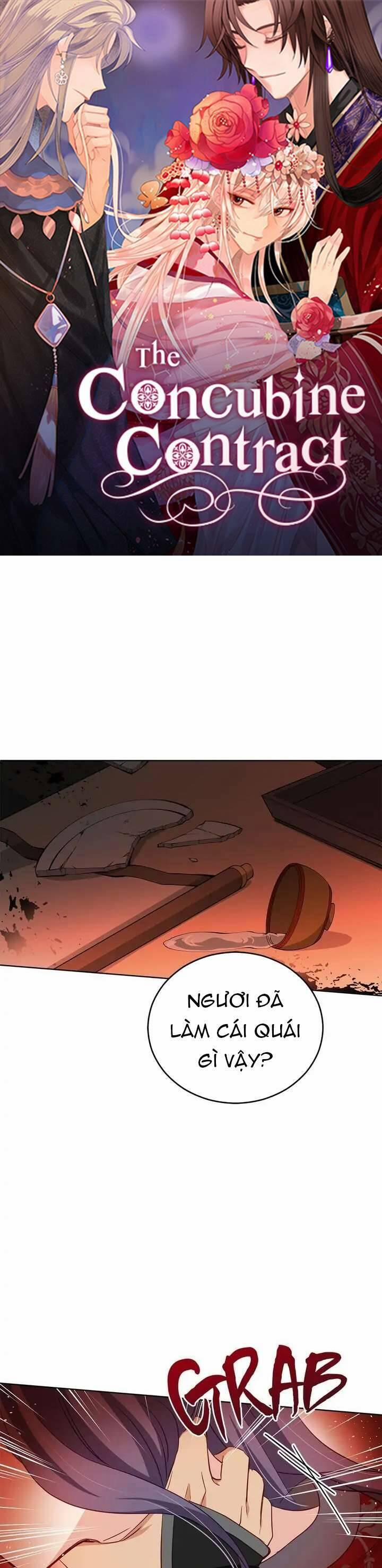 Ái Phi, Dao Của Nàng Rơi Rồi 75 trang 1