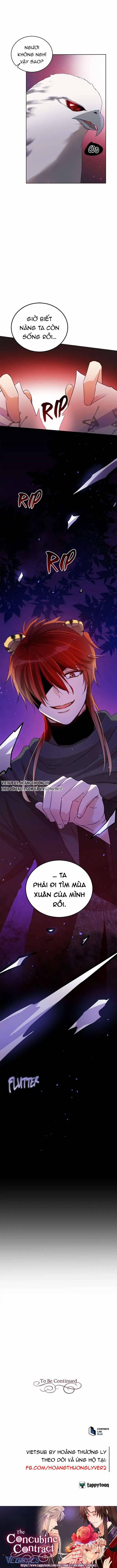 Ái Phi Khế Ước 71 trang 12