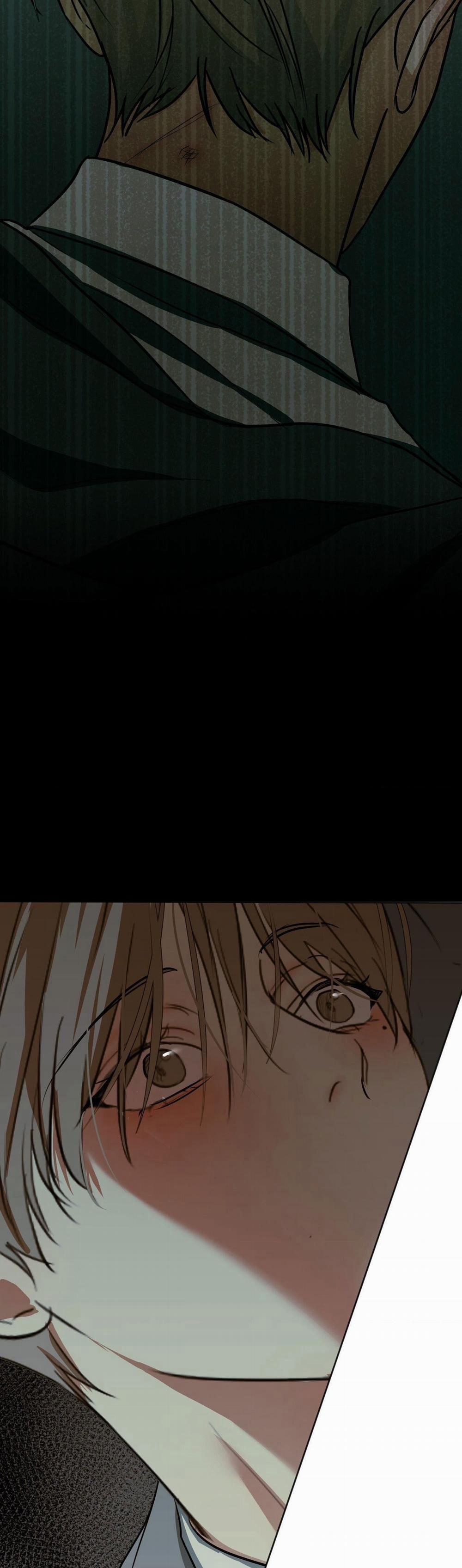 ÁI TÌNH VÀ DỤC VỌNG 13 trang 19