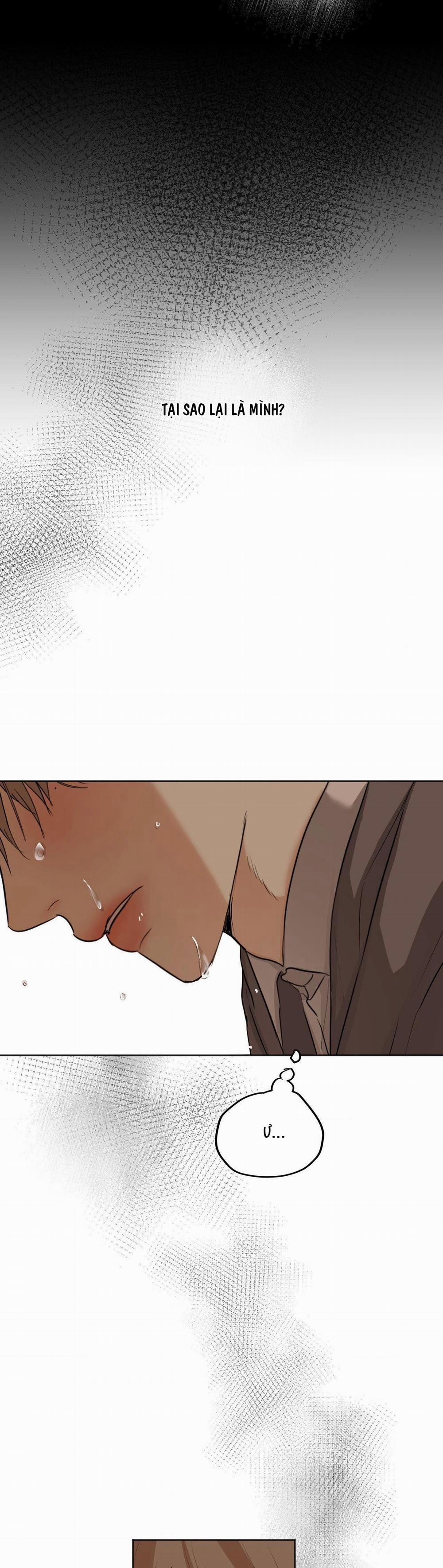 ÁI TÌNH VÀ DỤC VỌNG 13 trang 7