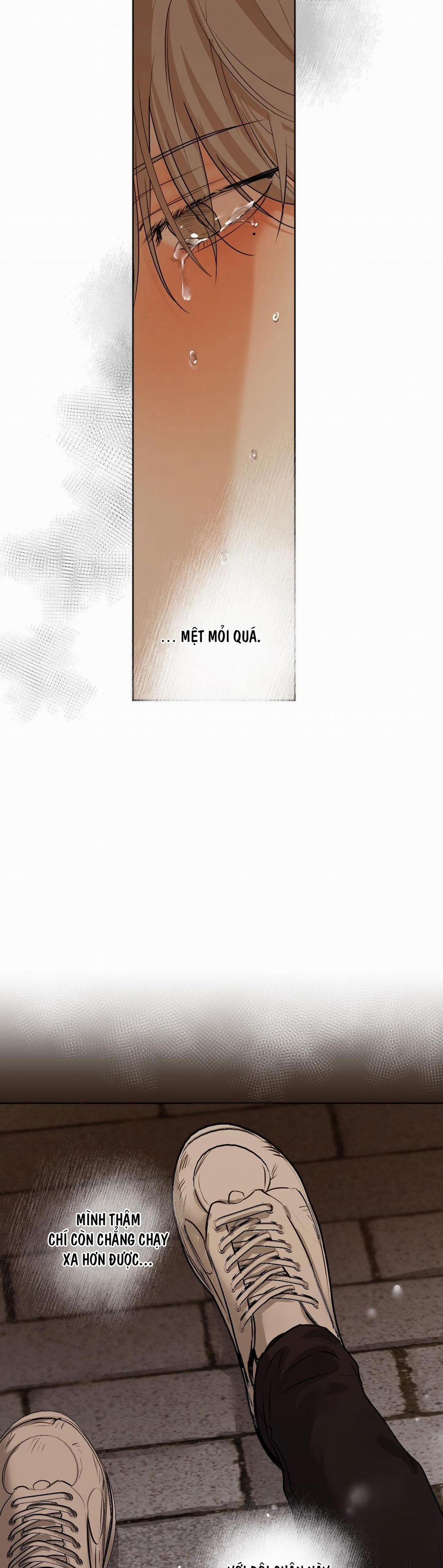 ÁI TÌNH VÀ DỤC VỌNG 13 trang 8