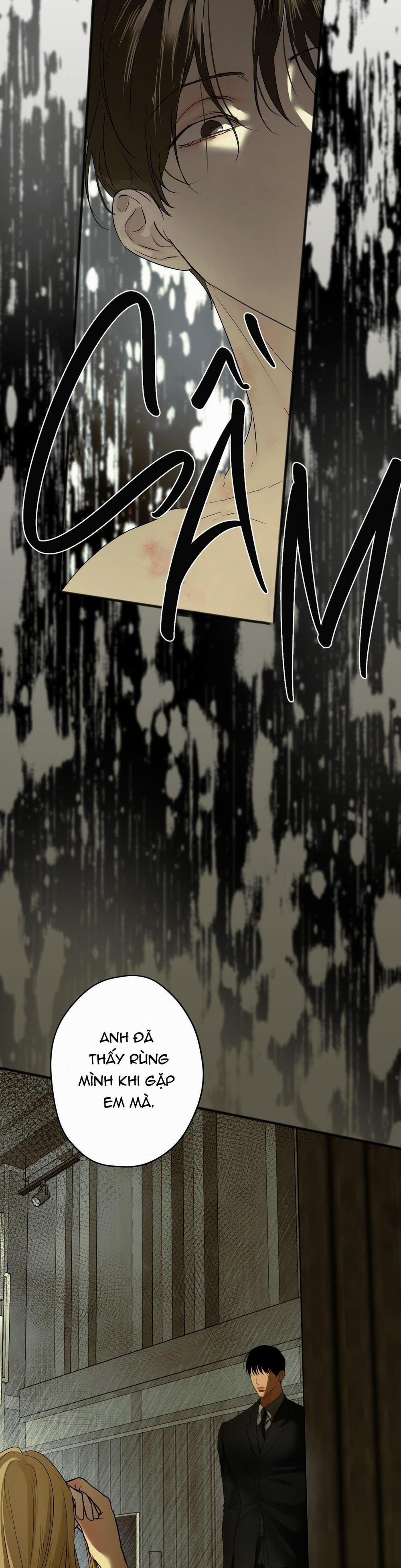 ÁI TÌNH VÀ DỤC VỌNG 19 trang 12