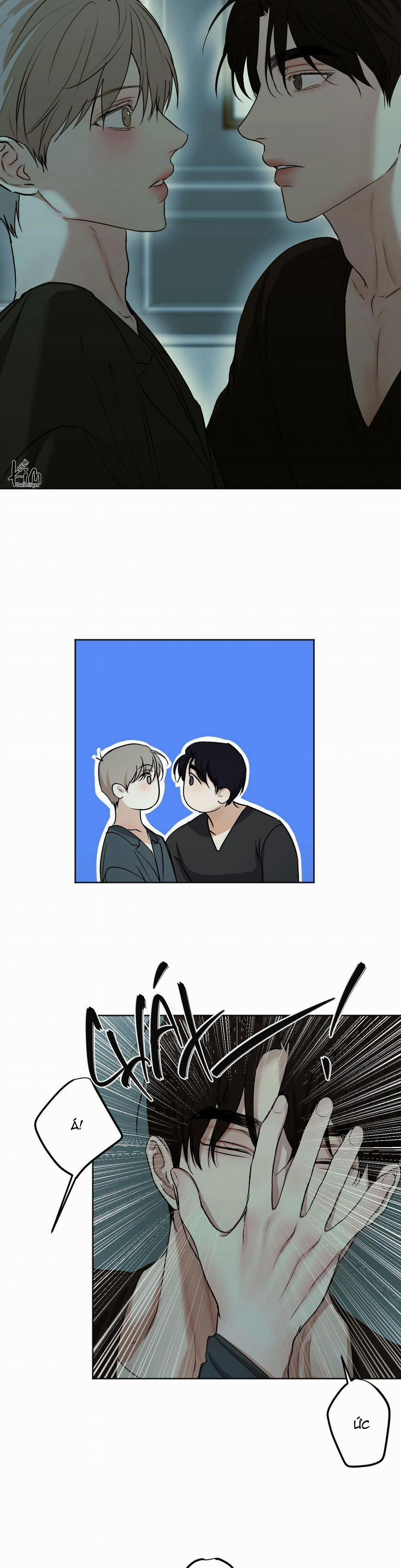 ÁI TÌNH VÀ DỤC VỌNG 23 trang 11