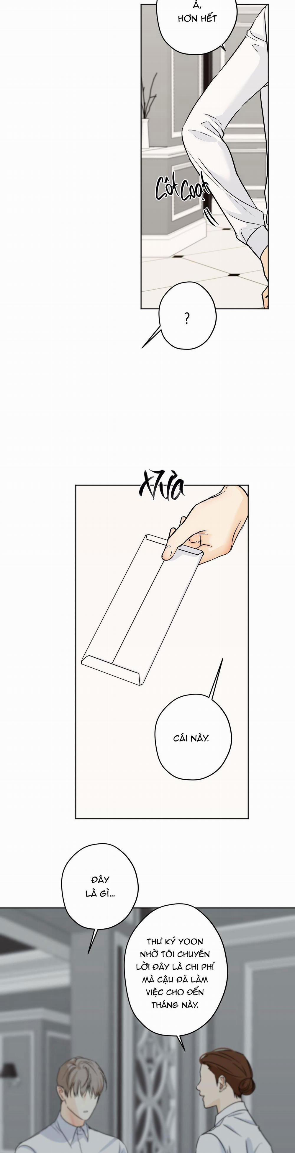 ÁI TÌNH VÀ DỤC VỌNG 27 trang 29