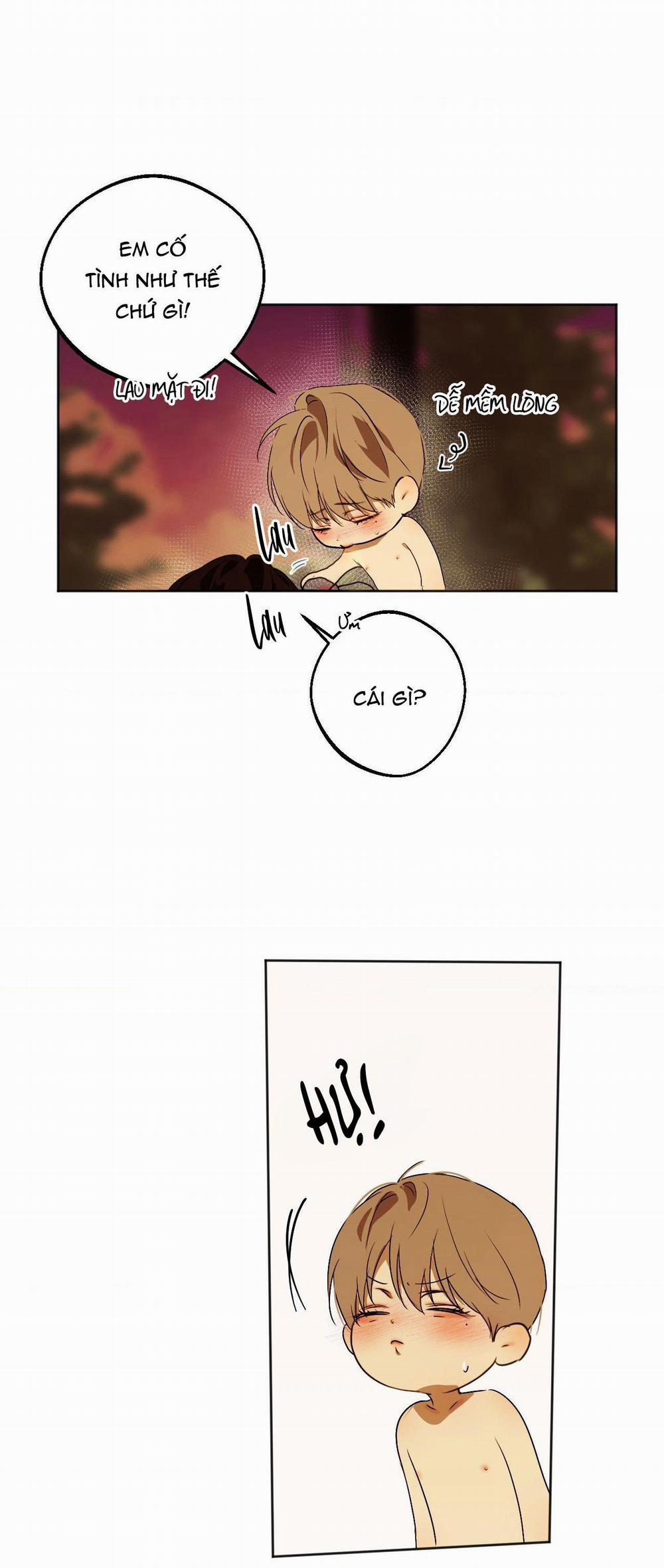 ÁI TÌNH VÀ DỤC VỌNG 41 trang 10