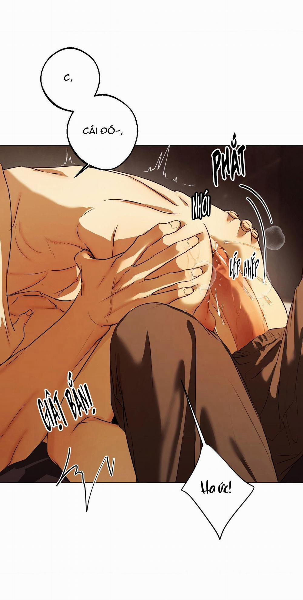 ÁI TÌNH VÀ DỤC VỌNG 41 trang 20