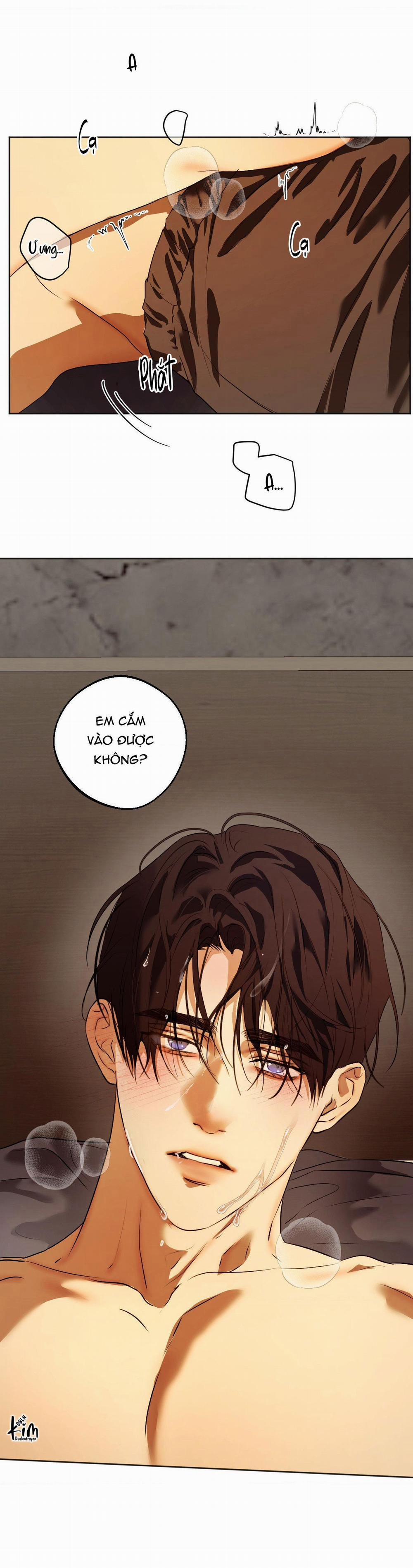 ÁI TÌNH VÀ DỤC VỌNG 41 trang 8