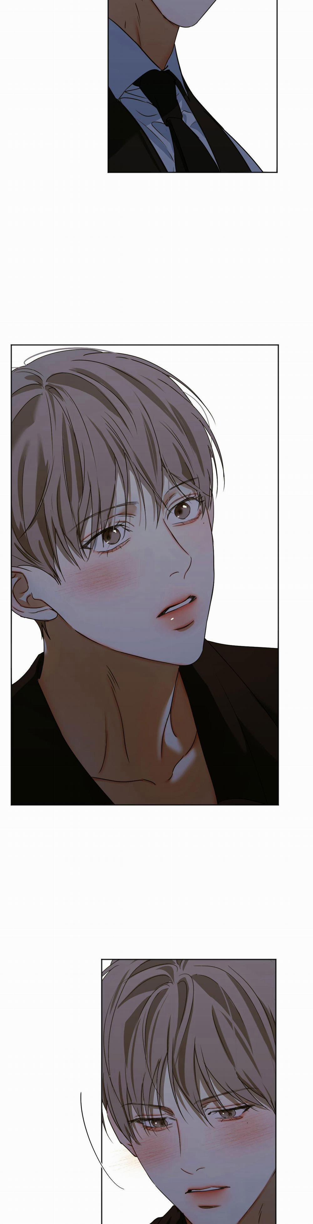 ÁI TÌNH VÀ DỤC VỌNG 45 trang 28