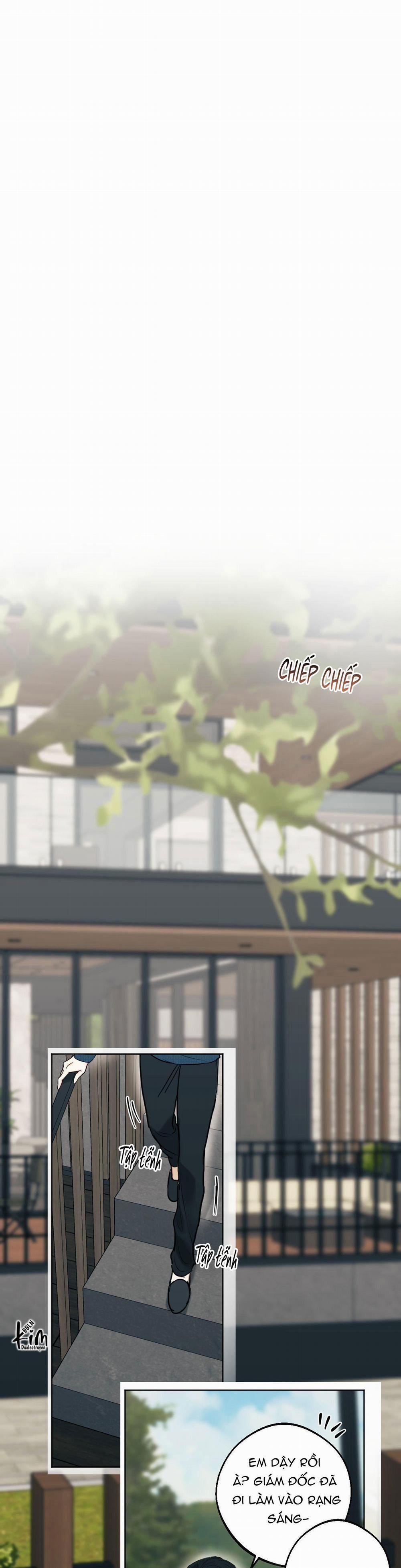 ÁI TÌNH VÀ DỤC VỌNG 55 trang 12