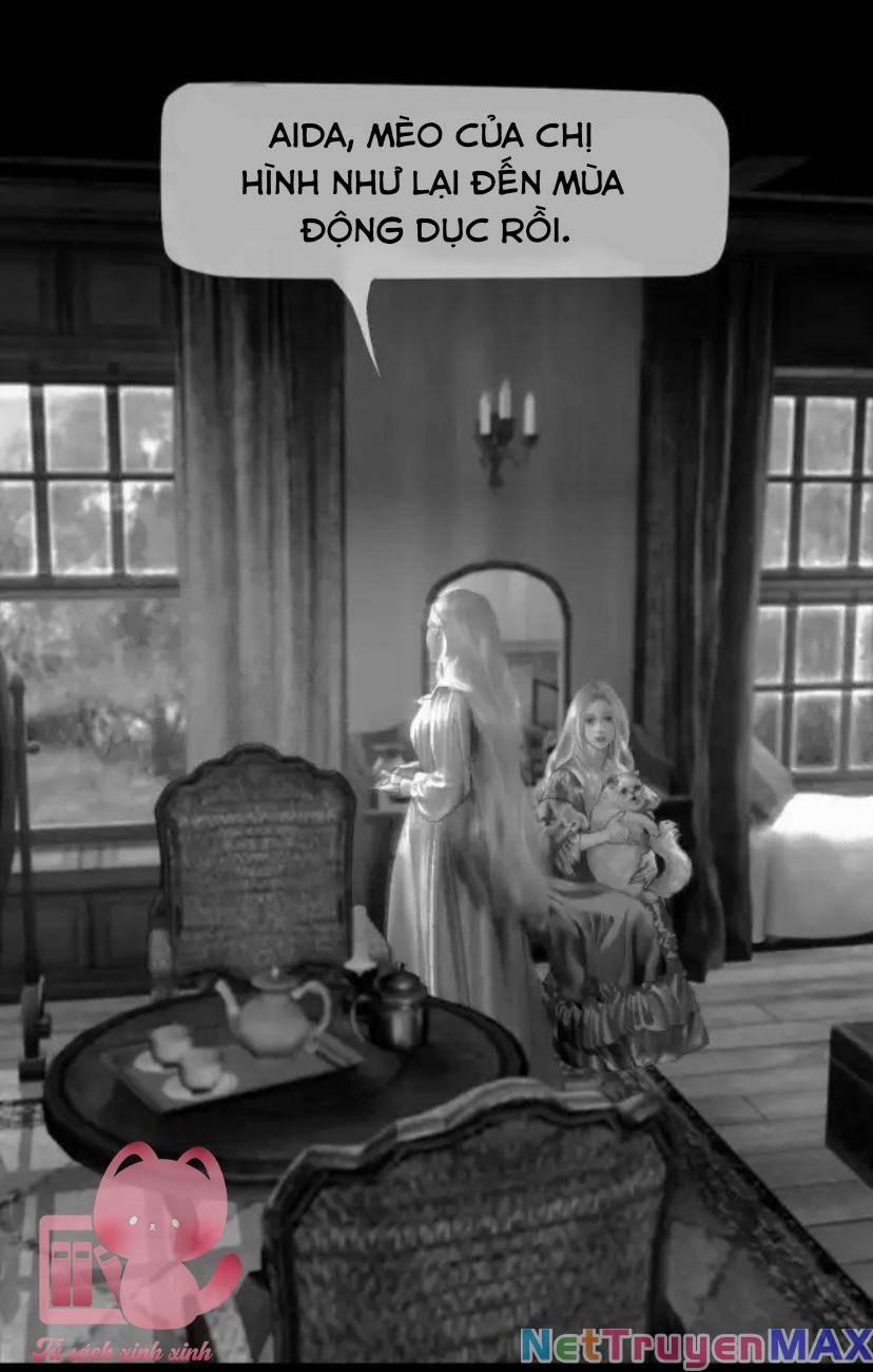 Aisha 46 trang 15