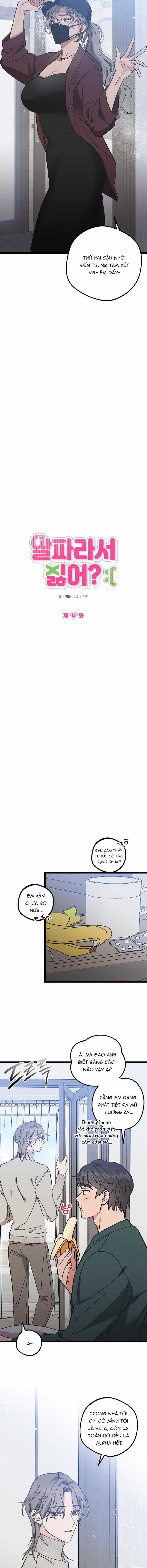 Alpha Thì Có Sao? 4 trang 3