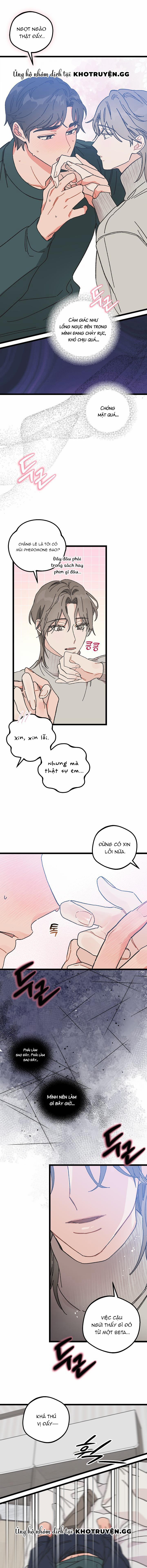 Alpha Thì Có Sao? 4 trang 7