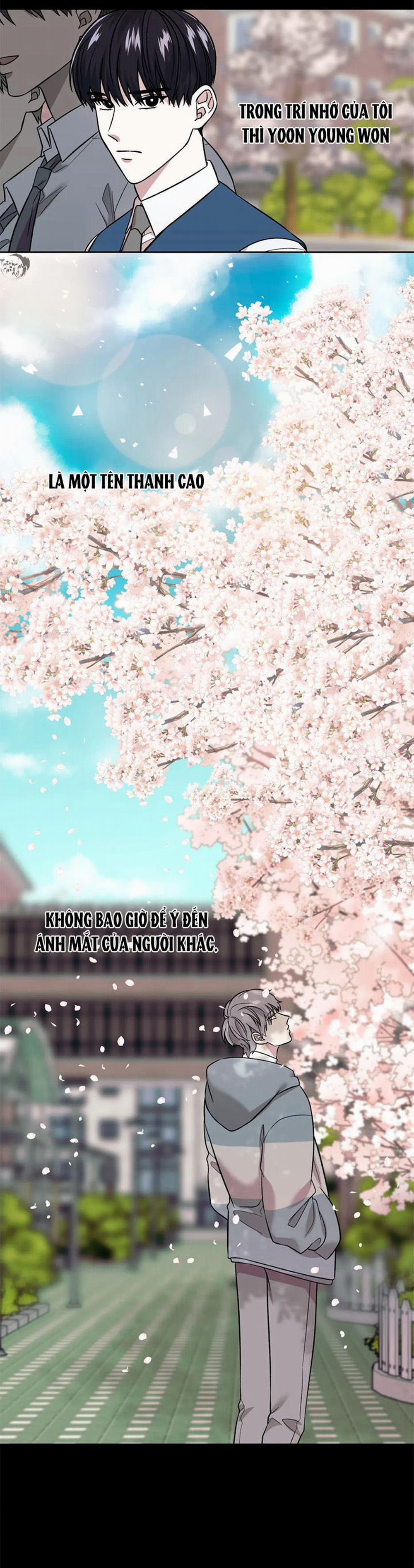 Ám Ảnh Pheromone 11 trang 3