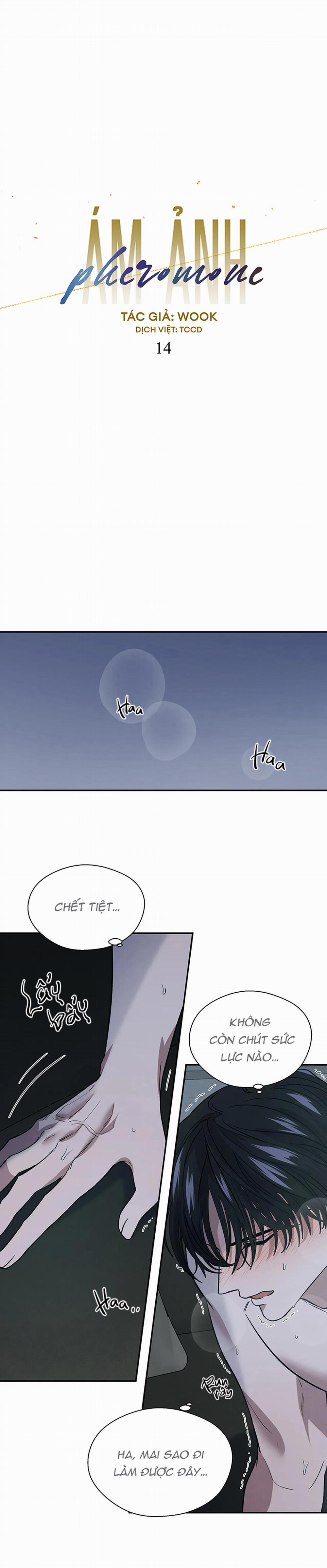 Ám Ảnh Pheromone 14 trang 13