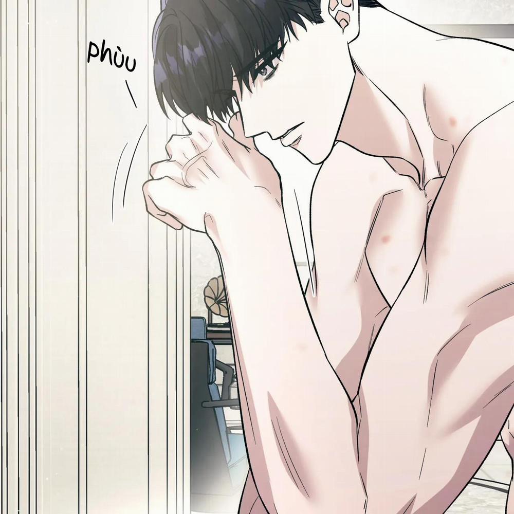 Ám Ảnh Pheromone 36 trang 12