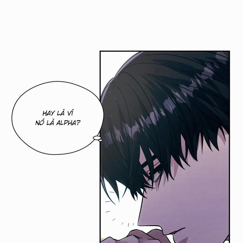 Ám Ảnh Pheromone 36 trang 15