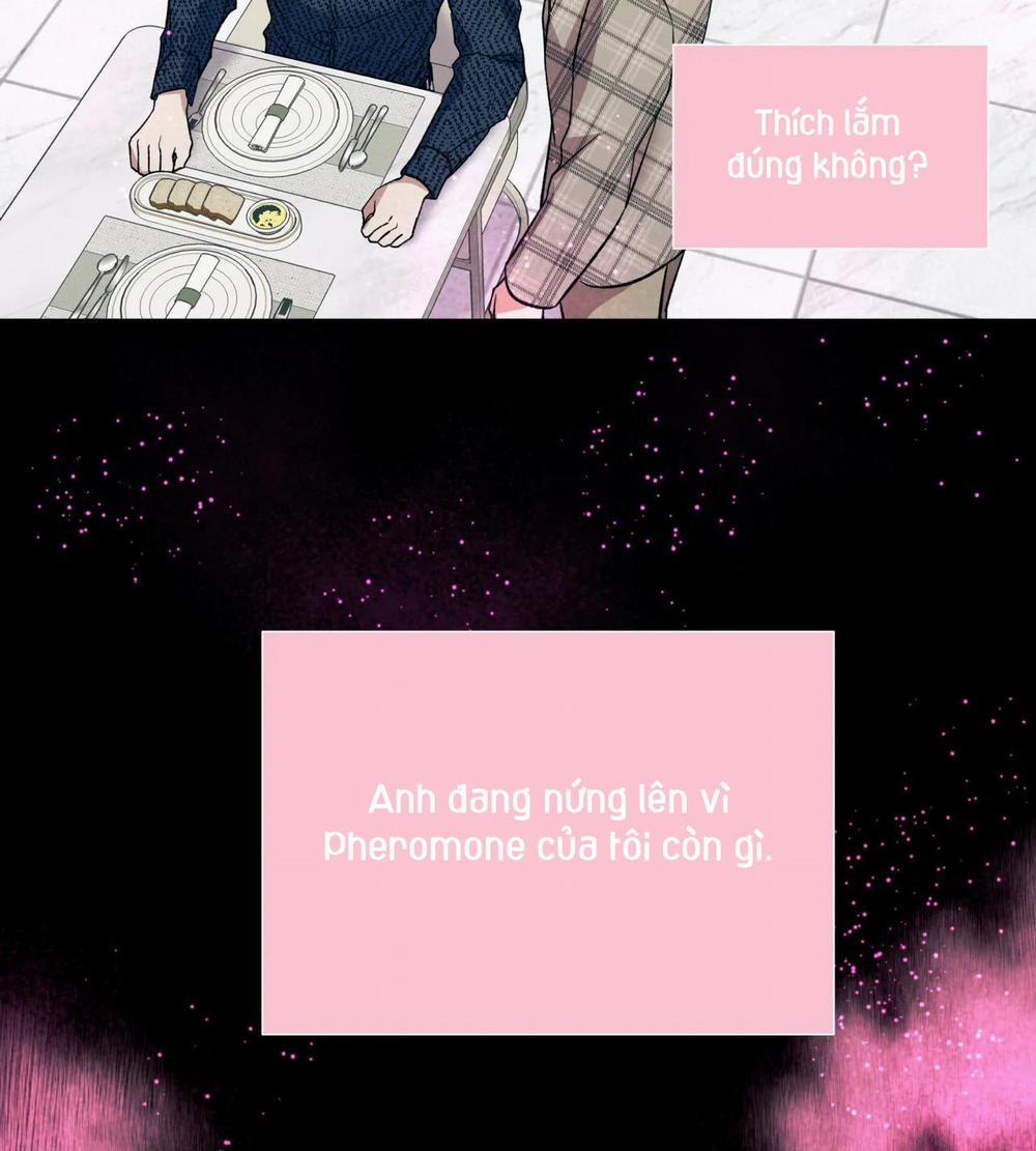 Ám Ảnh Pheromone 46 trang 117