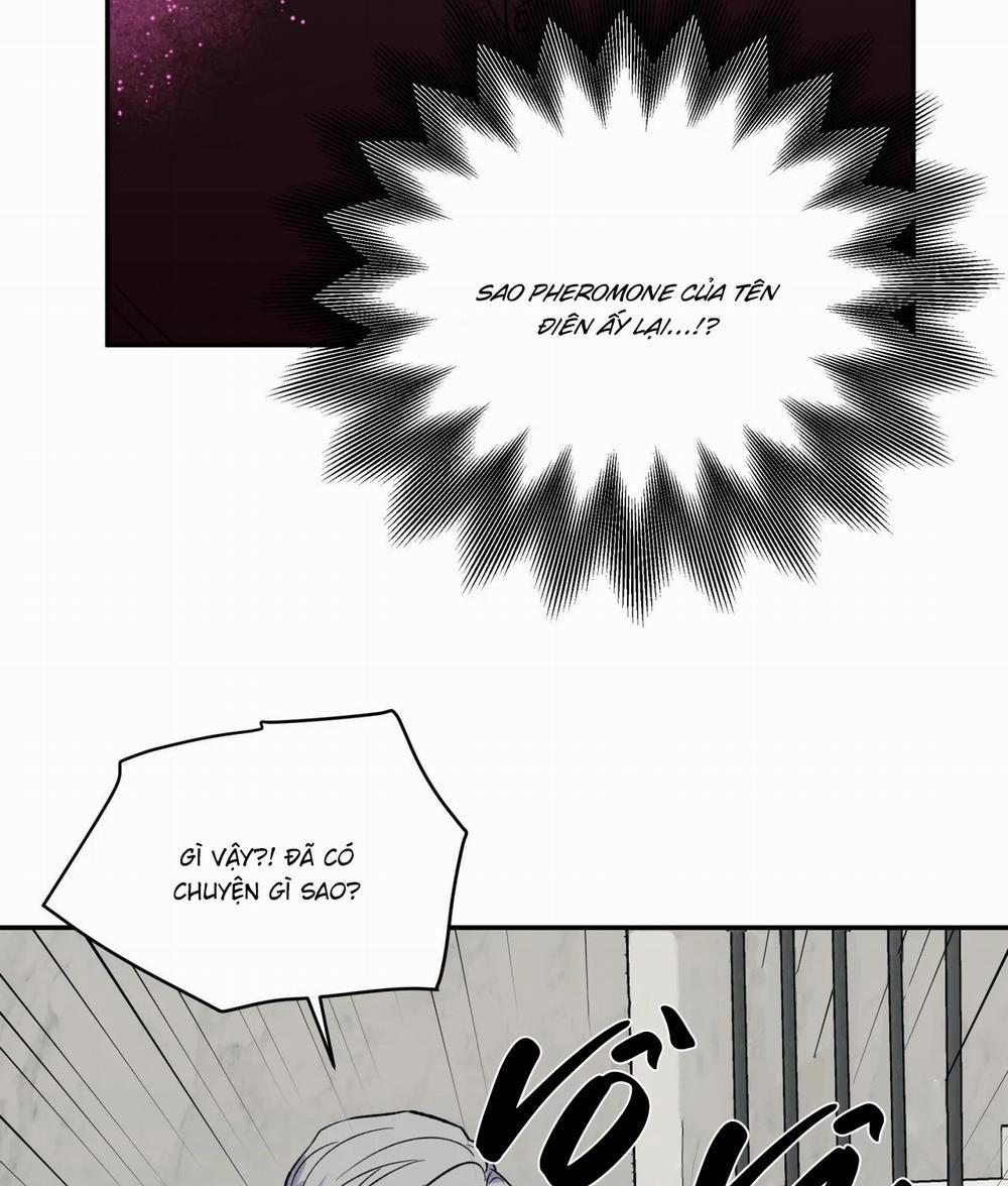 Ám Ảnh Pheromone 48 trang 22