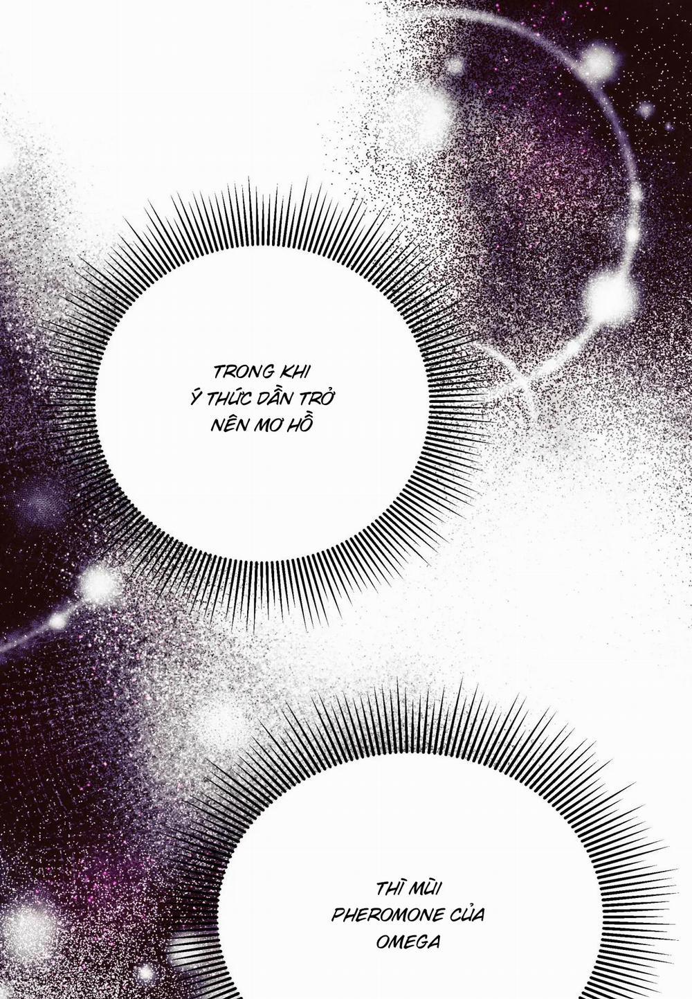 Ám Ảnh Pheromone 49 trang 25