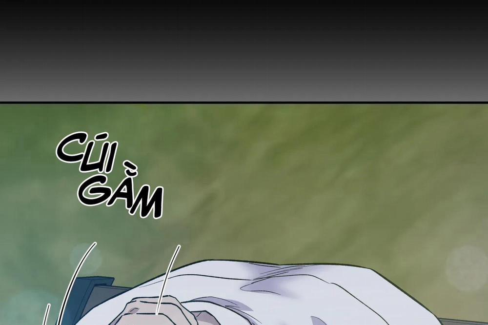 Ám Ảnh Pheromone 62 trang 14