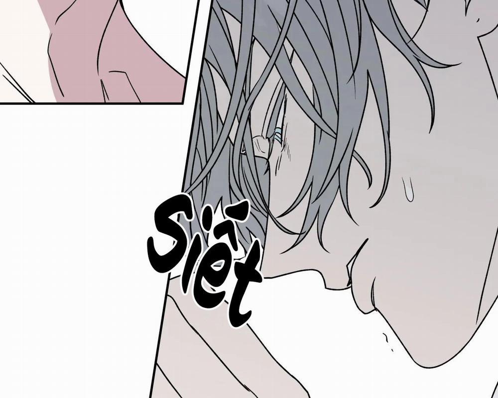 Ám Ảnh Pheromone 63 trang 20