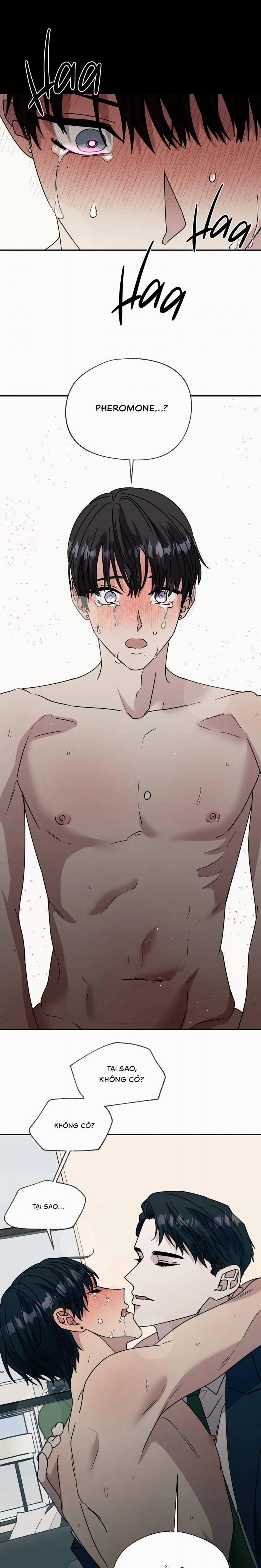 Ám Ảnh Pheromone 66 trang 6